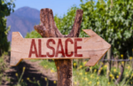 フランス、アルザスワインの特徴を見てみよう！